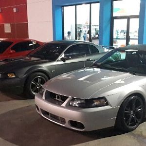luiscobra