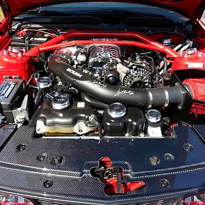 Roush pics
