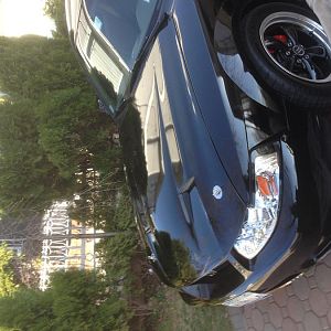 Mustang