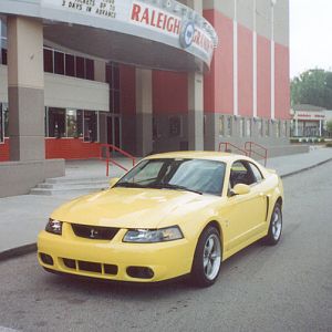 stangs