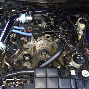 2003 GT