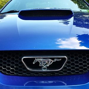 2004 mustang gt
