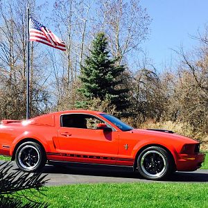 My stang