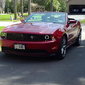 Photos