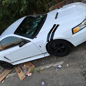 2000mustang