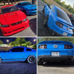 2011 GT500