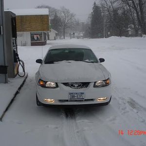 Camoflage- activated. 

who says Mustangs arent good in snow?