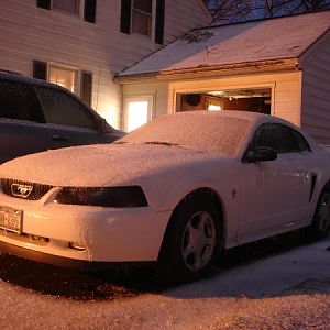 This is what I came home to from college. 

man, not bad for being 10:30PM!