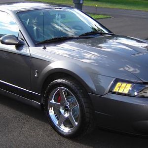 cobra 1   ....Timspony