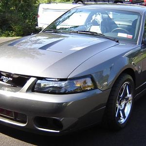 cobra 2   ....Timspony