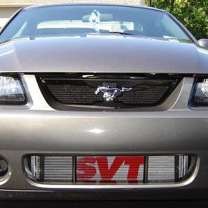 cobra svt  ....Timspony