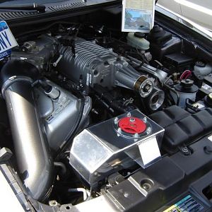 COBRA03 ENG