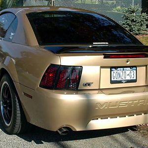 rear veiw