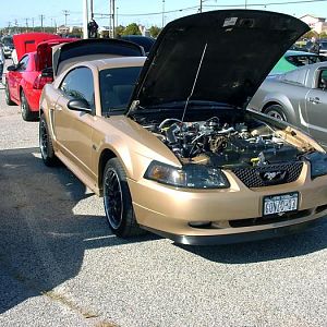 Show in Riverhead-the s-197 on right is a P51A Roush 
510 HP+