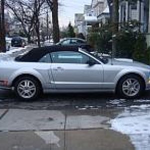 Xennon side scoops