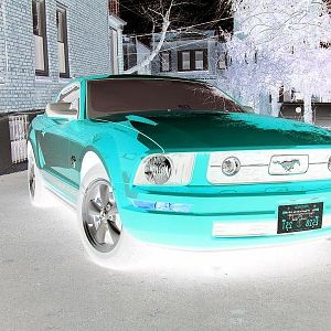 DSCN1109 1 invert