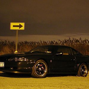 Nightshots.