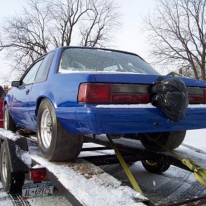 Nasty in Snow 2