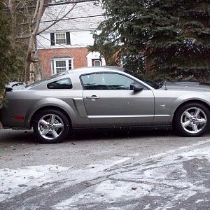 Mustang 1