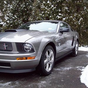Mustang 5