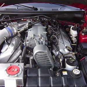 DSC00008