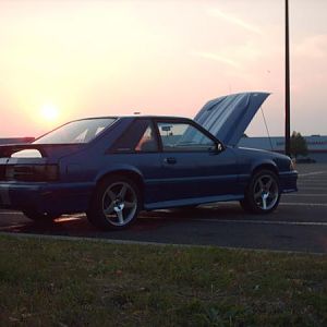 mystang3