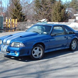 mystang6