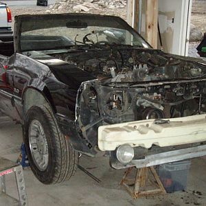 random pics 2 062