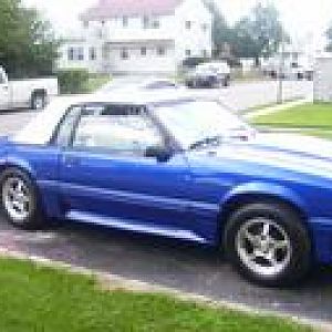 Mustang