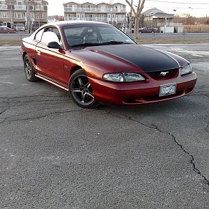 washed and waxed, decided to take her for a photoshot
