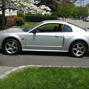 mustang