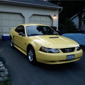 THE RIDE