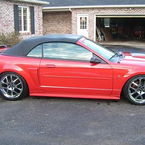 mustang1
