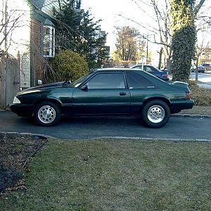 mustang2 001