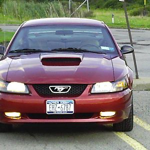 my stang (aug/08)