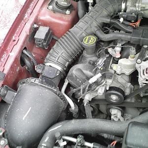 old intake (feb/09)