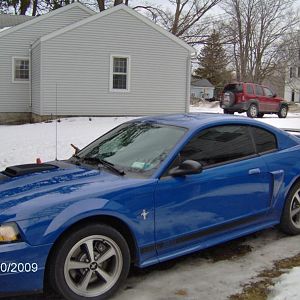 Picture 025