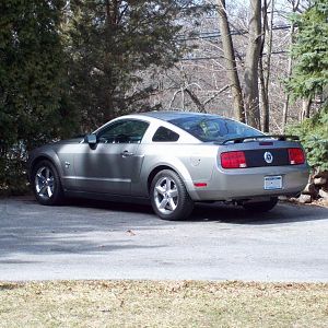 2009 Mustang V6 Premium Coupe

Buddy