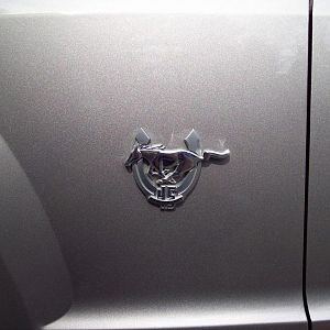Mustang 45th Anniversary