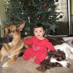 xmas 2009