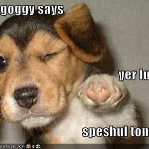 Slick doggy