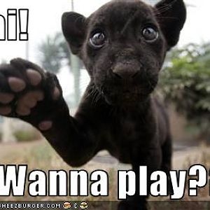 Hello Doggy