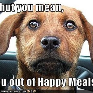 Sad Doggy