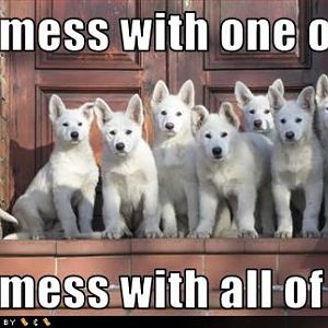 Group Doggy