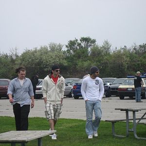 Picture 248