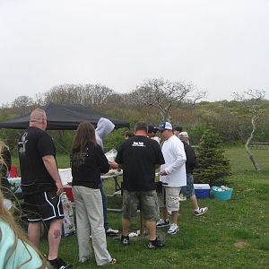 Picture 253
