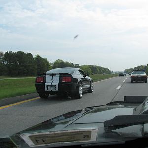 IMG 3071