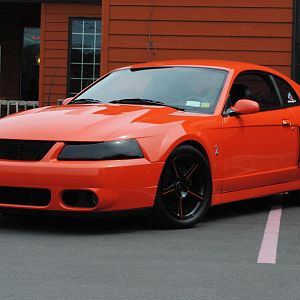 MAY CRUISE