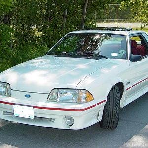 MustangPhotos 001