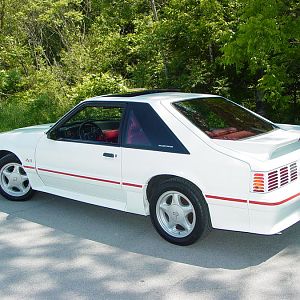 MustangPhotos 002